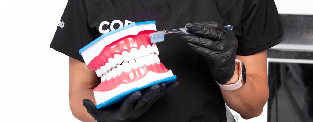 Conoce todos los tipos de dientes.