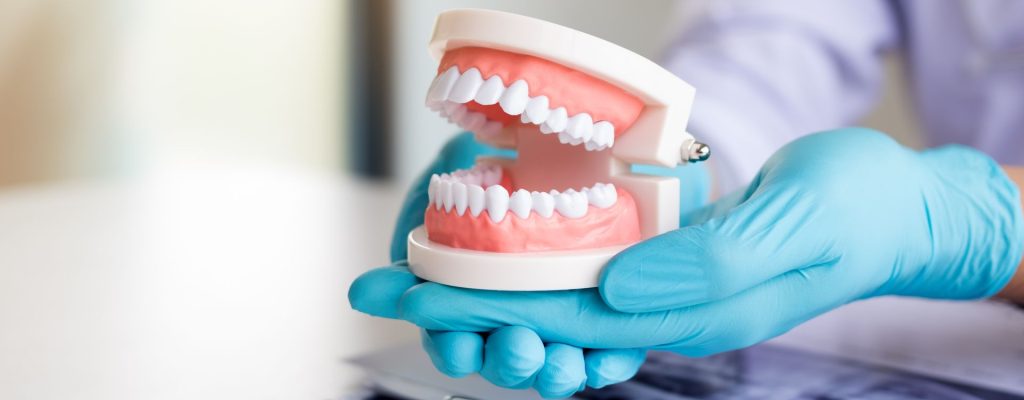 En este artículo conoceremos las piezas dentales: qué son, cuáles son sus partes y para qué sirven.