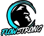 logotipo-flow-strong
